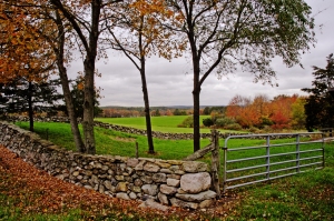Autumn Hills