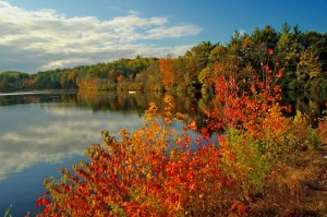 Canoe Foliage