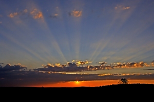Divine Light