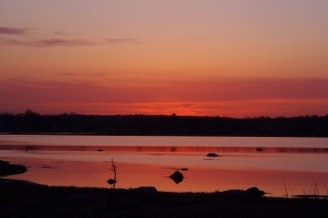 Dusky Glow