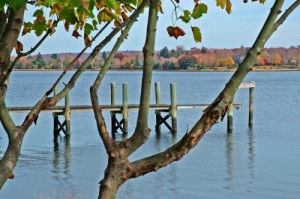 Empty Dock