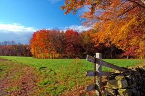 Empty Pasture