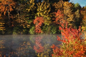 Fog Lake