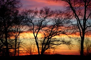 Gorgeous Sky