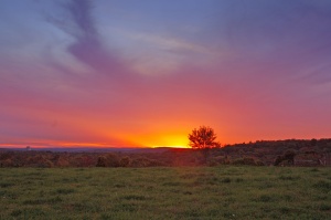 Hilltop Sunset