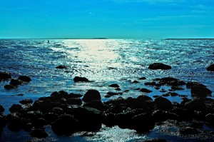 Sea Reflections