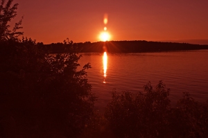 Tobacco Sunset