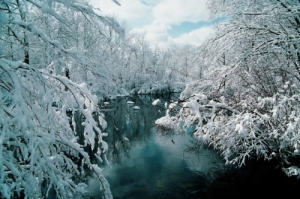 Winter Brook